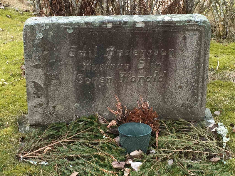 Grave number: 3 Ga 11    98-99