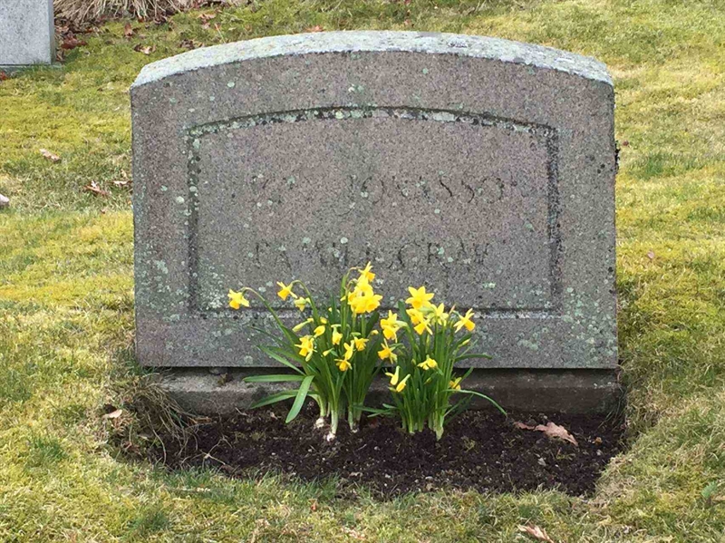 Grave number: 3 Ga 07    38-39