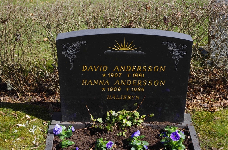 Grave number: 6 1   231-232