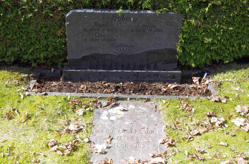 Grave number: 6 1    94-95