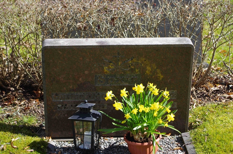 Grave number: 6 1   127-128