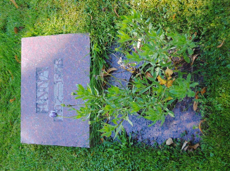 Grave number: 5 Ga 01    76