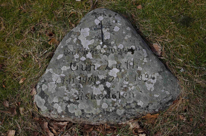 Grave number: 6 6    56
