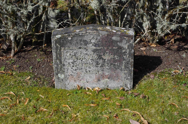 Grave number: 6 4   276