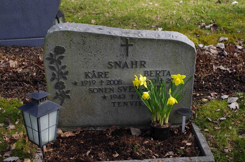 Grave number: 6 5   295-296