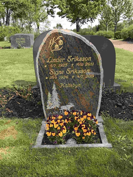 Grave number: 9 Nya 06    55-56