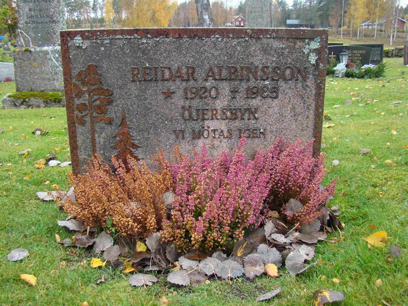 Grave number: 10 Ös 02    84