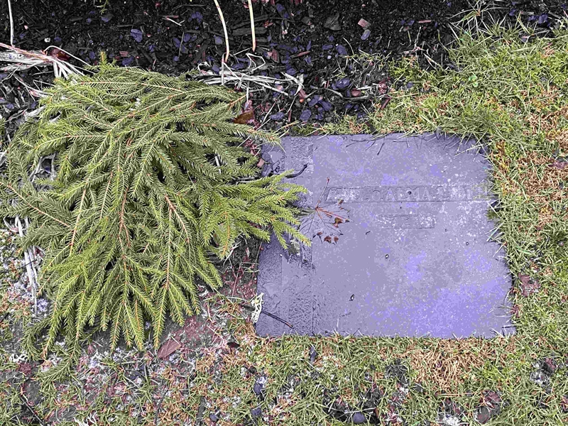 Grave number: 9 Ga 03    87