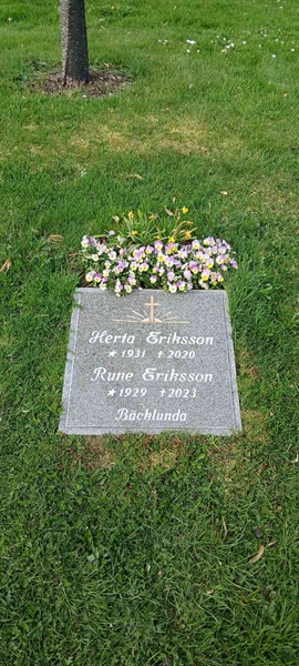 Grave number: 3 Nya K    42