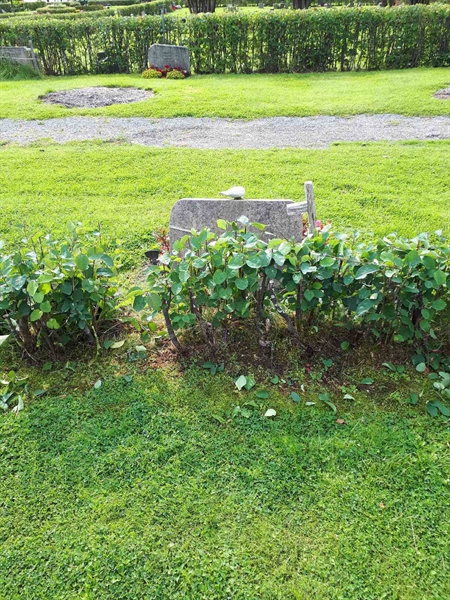 Hautatunnus: NK F C    63-64