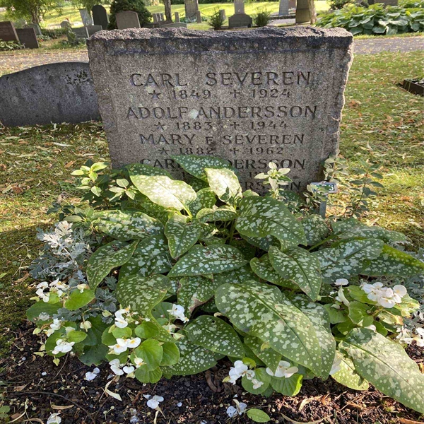 Grave number: 1 E    26