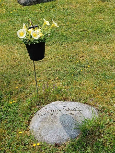 Hautatunnus: OS ÖK U    45