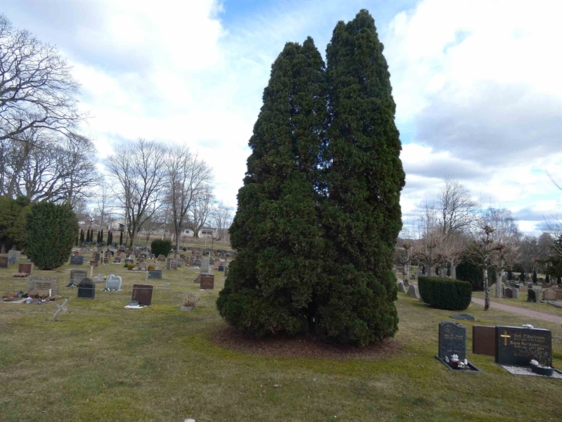 Grave number: SN D    65