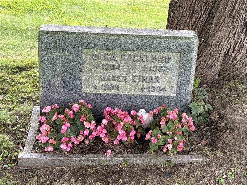 Grave number: IN 31   133-134