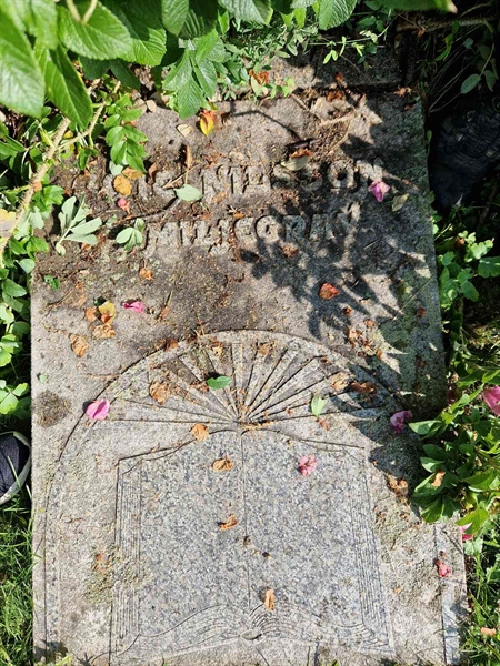 Grave number: 1 16    66