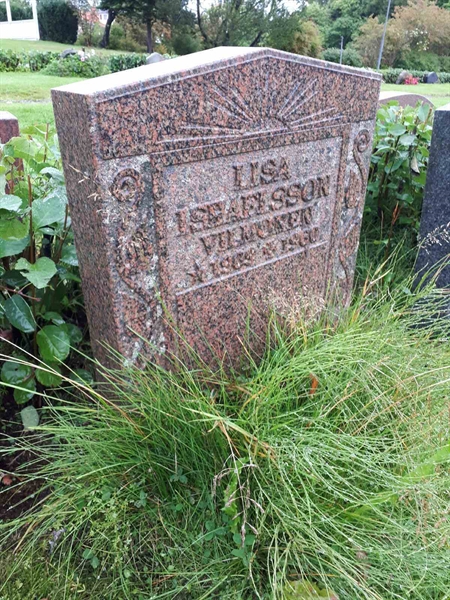 Gravnummer: NK F A    50