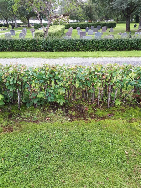 Hautatunnus: NK F A   229