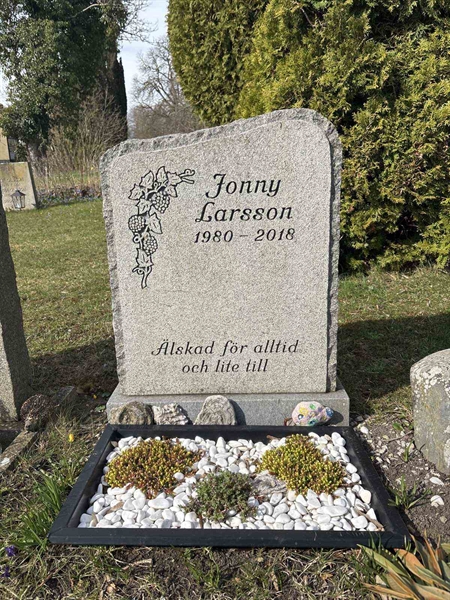 Gravnummer: LI    19