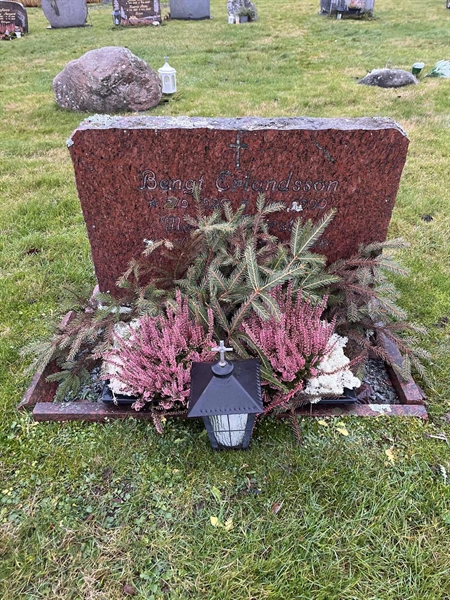 Grave number: Ärt 60 29    11+12