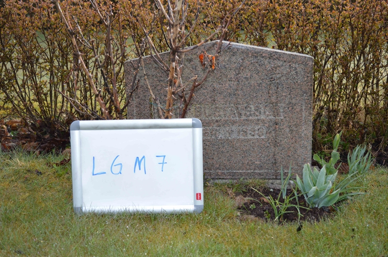 Grave number: LG M     7