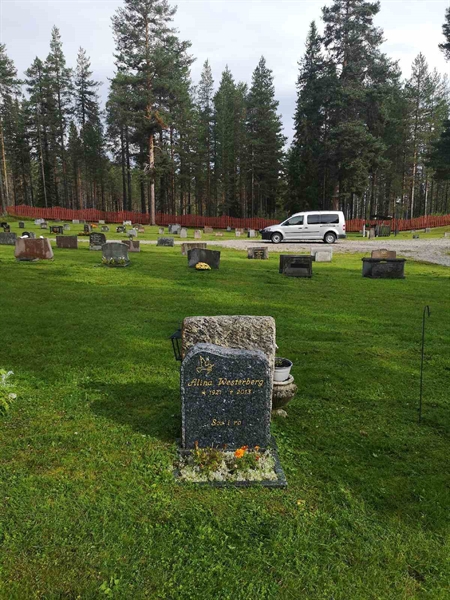 Hautatunnus: Mjk 15    30