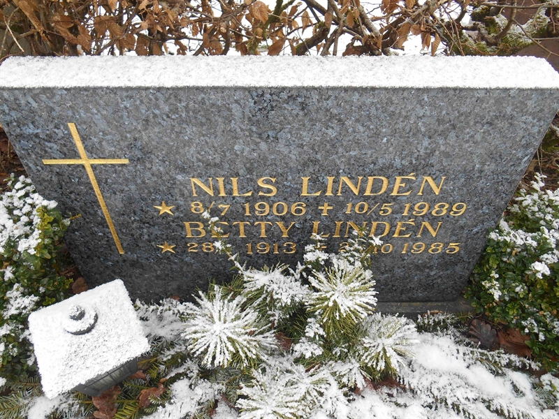 Grave number: Vitt VC2Ö    18, 19