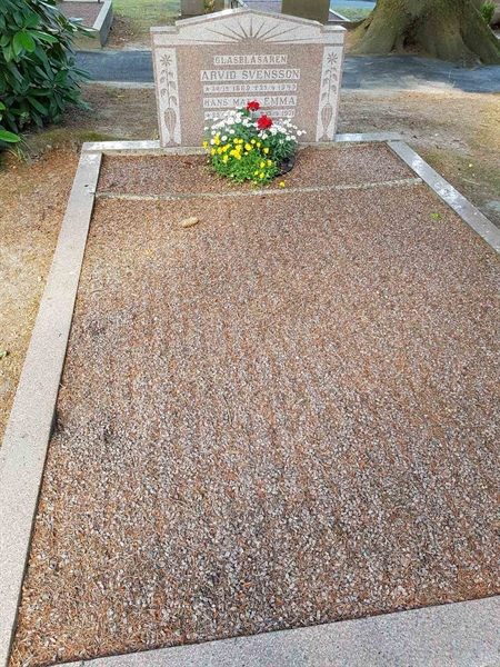 Grave number: 01   559