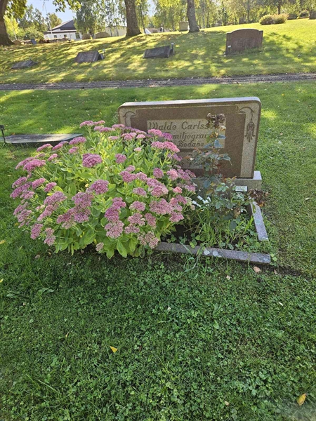 Grave number: Fr 7   318-320
