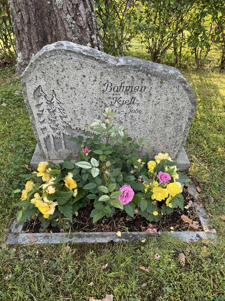 Grave number: 1 KV12   220