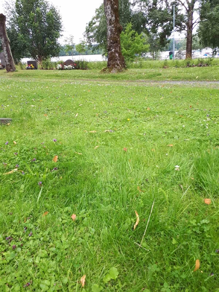 Hautatunnus: GK A 4    20H