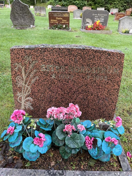Grave number: 5 01   154