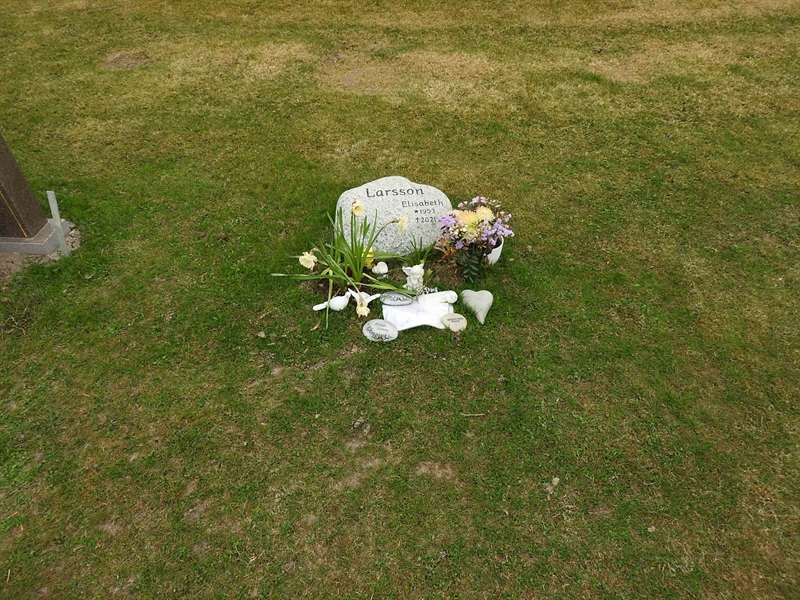 Hautatunnus: BK G   101