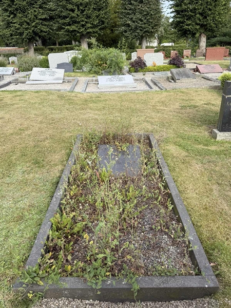 Grave number: ON C   253