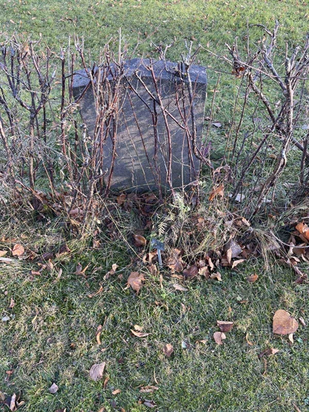 Gravnummer: GK A 3   613