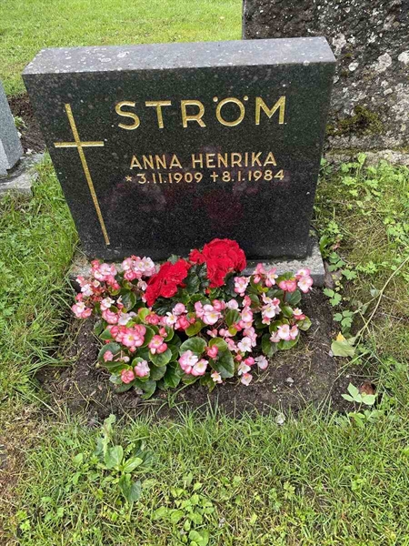 Gravnummer: N 4 3   364