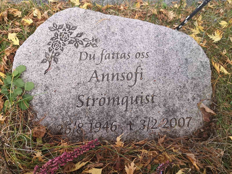 Hautatunnus: VLM U    59