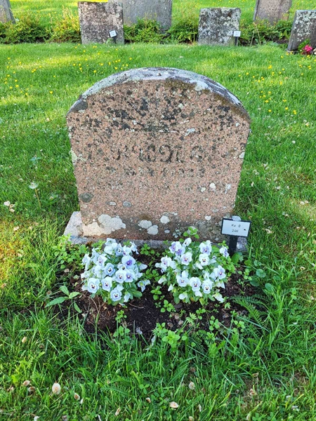 Grave number: kö 01 08   246