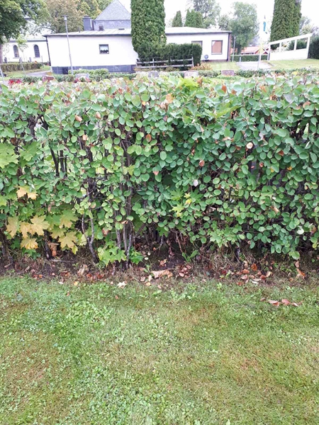 Gravnummer: NK F A   150