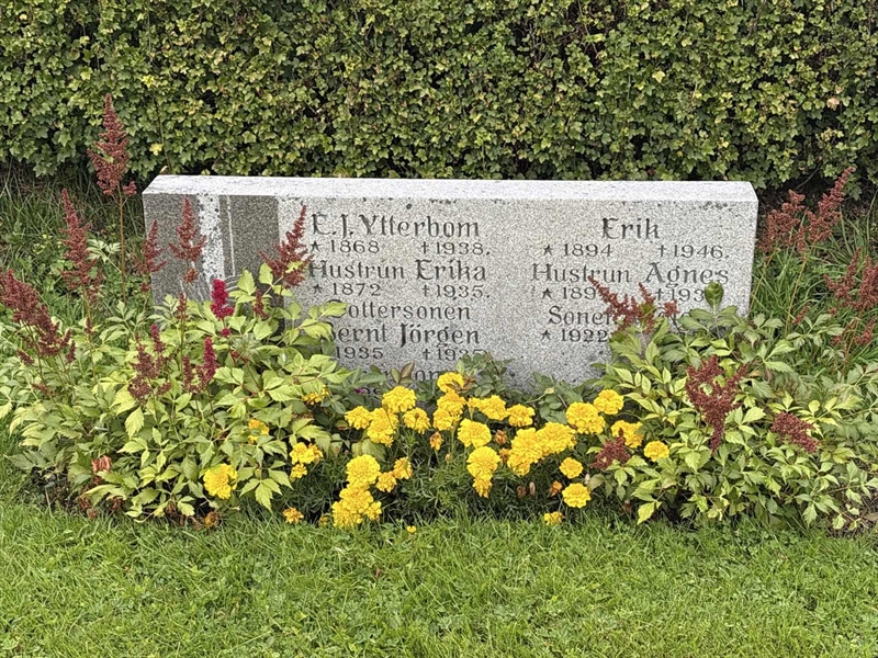 Grave number: IN 10    45