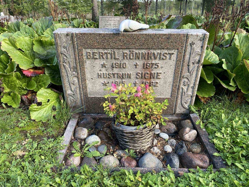 Grave number: 3 11 68