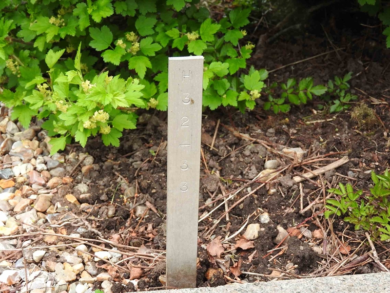 Gravnummer: BK H    32-33