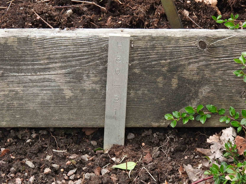 Gravnummer: BK H    30-31