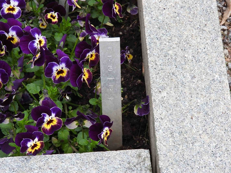 Gravnummer: BK H    73-74