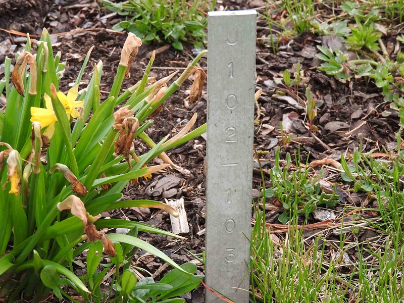 Gravnummer: BK J   102-103