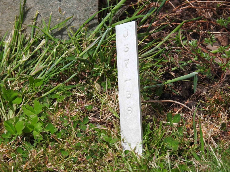 Gravnummer: BK J    37-38