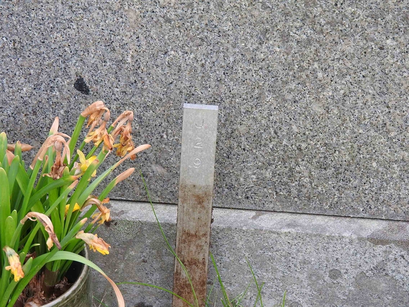 Gravnummer: BK J    29