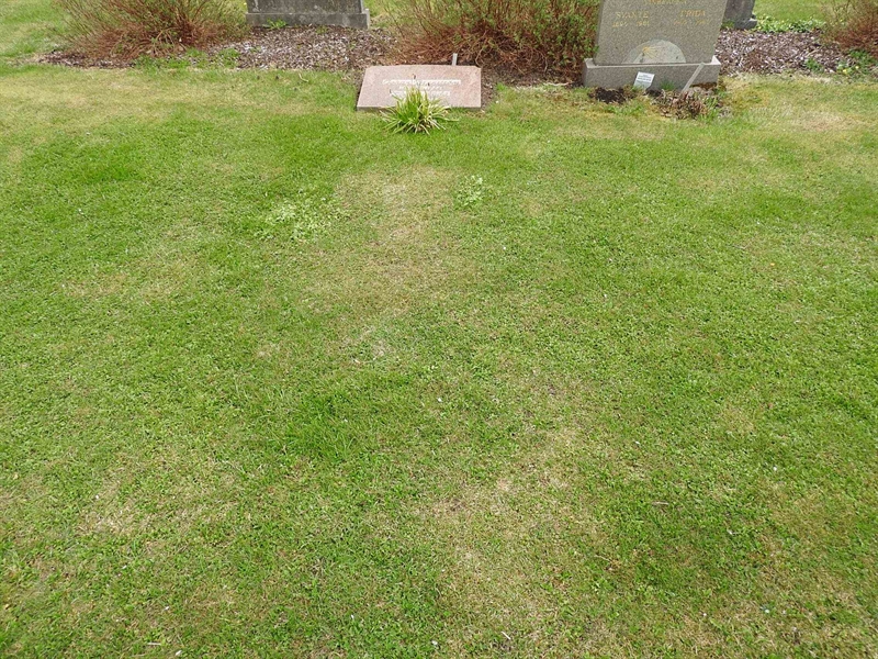 Gravnummer: BK J     3