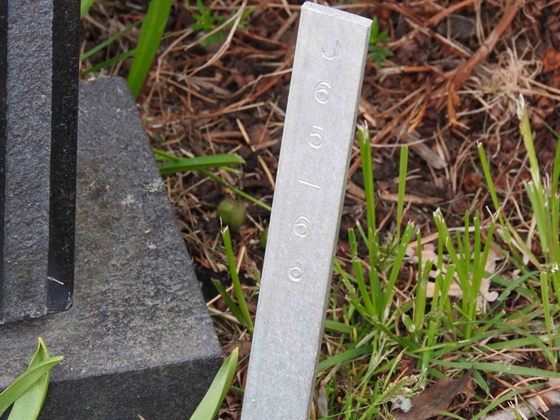 Gravnummer: BK J    65-66