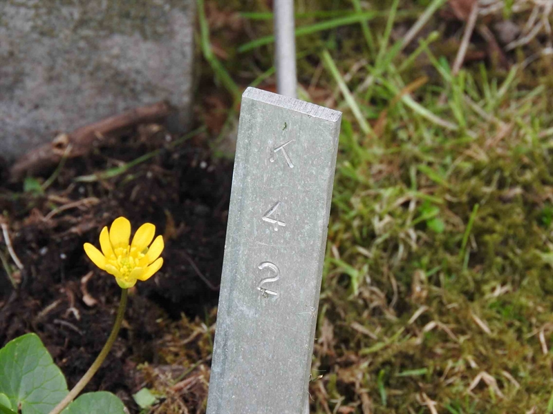 Gravnummer: BK K    42