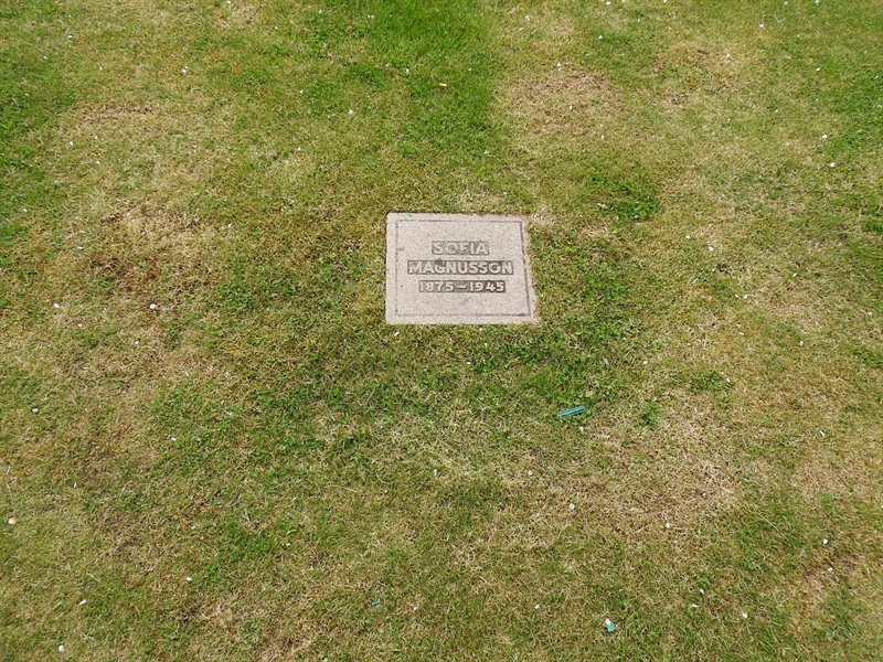 Gravnummer: BK K    56